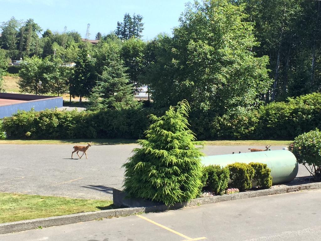 Haida Way Motor Inn Port McNeill 외부 사진